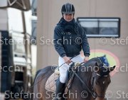 Indorami Tosc Tour2013- S5 1752 : Arezzo, Cavalli d'Italia, Indorami di Villa Giove, Toscana Tour 2013, foto di Stefano Secchi ©